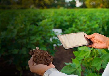 Geotechnical Risks 2024